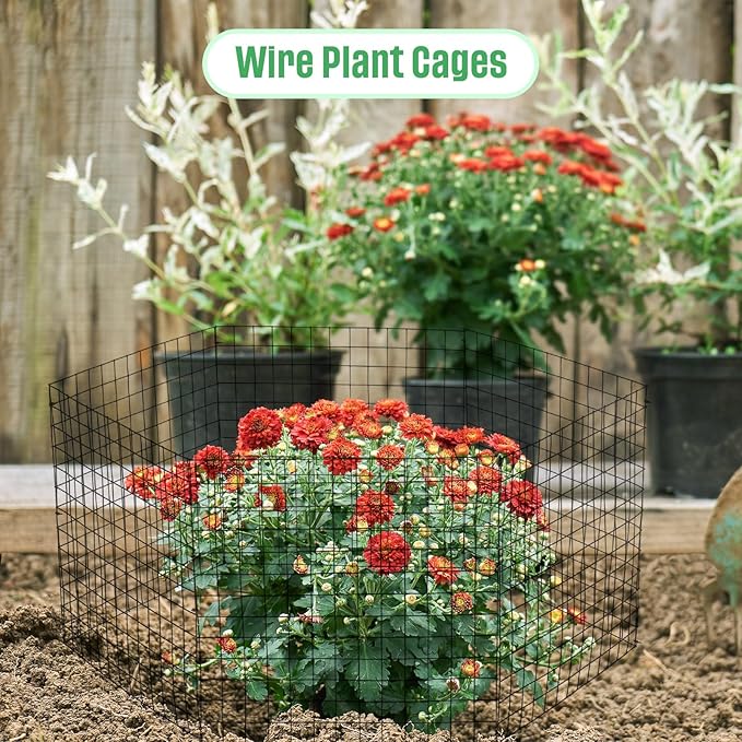 Zubebe 5 Pack Small Wire Plant Protectors Square Plant Protectors from Animals Mesh Cage Chicken Wire Cloche for Shrubs and Vegetables with Ground Stakes and Nylon Ties (15 x 16 Inch)