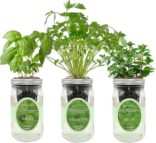 Hydroponic Herb Growing Kit Set, Self-Watering Mason Jar Herb Garden Starter Kit Indoor, Window Herbs Garden, Grow Your Own Herbs from Organic Seeds (Basil, Cilantro and Mint)