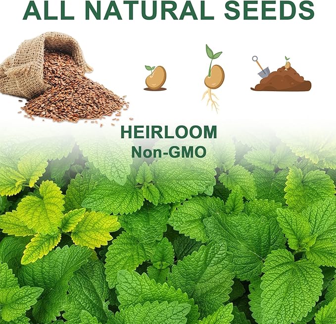 Gourmet Herb & Salad Seed Pod Kit, 8 Pod (Include Seed Basil/Mint/Thyme/Romaine/Butter Head/Red&Green Leaf) Lettuce Seed Pod Kit Compatible with All Hydroponics