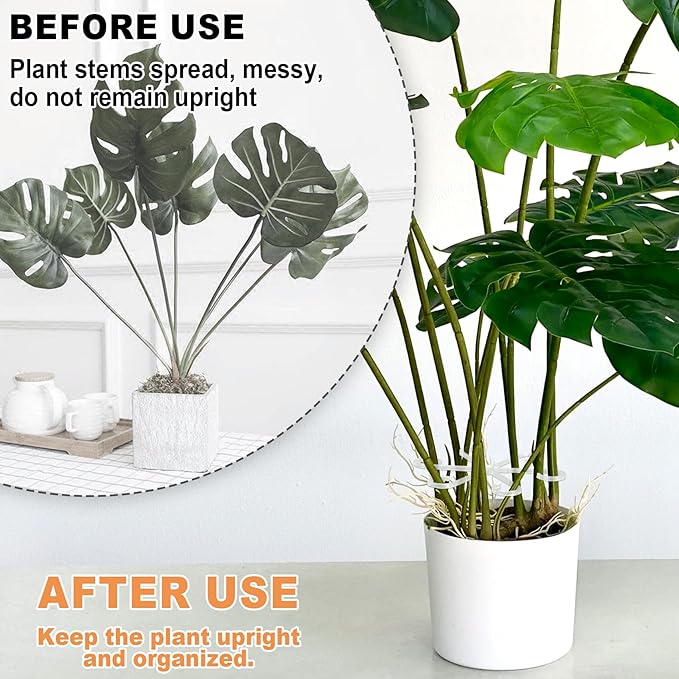 8PCS Plant Stem Support, 4 Sizes Climbing Houseplant Stem Holders, Plastic Reusable Flower Trellis Stem Hook Plant Care Growth Accessories for Flower Plants Indoor Outdoor - Black, Clear