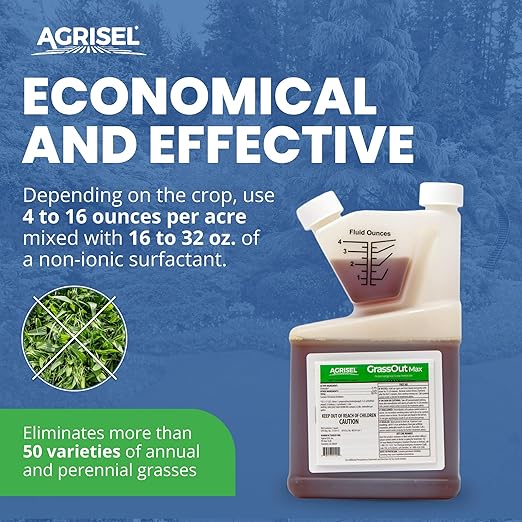 GrassOut Max Weed Killer, Targets 50+ Grassy Weeds Without Harming Desired Plants, Pet Safe, Large Area Treatment, Easy Application, 3-Pack of Disposable Gloves Included, 32 Ounces