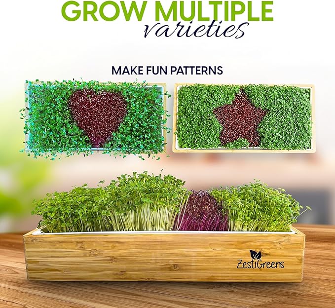 Self Watering Microgreens Growing Kit. Hands Down The Easiest Way to Grow Microgreens. Includes Tray, Seeds, Mats, and Bamboo Surround. Great Gift for Gardeners