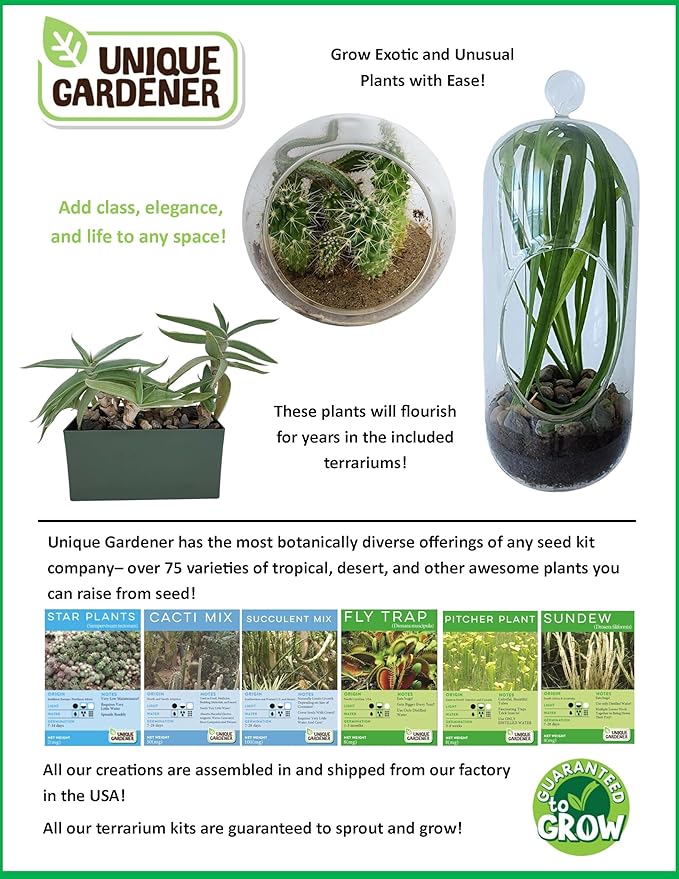 Perfect Palms Terrarium Grow Starter Kit - Over 10 Kinds of Seeds for Planting - Fun Easy Indoor Hanging Or Standing Glass Capsule Garden Starter Set with Complete Supplies