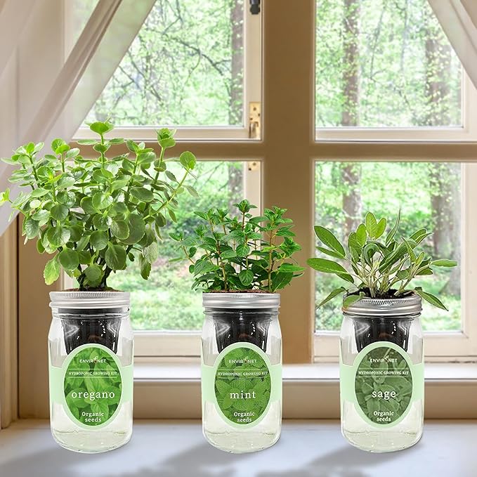 Hydroponic Herb Growing Kit Set, Self-Watering Mason Jar Herb Garden Starter Kit Indoor, Windowsill Herbs Garden. Grow Your Own Herbs from Organic Seeds (Mint, Sage, Oregano)