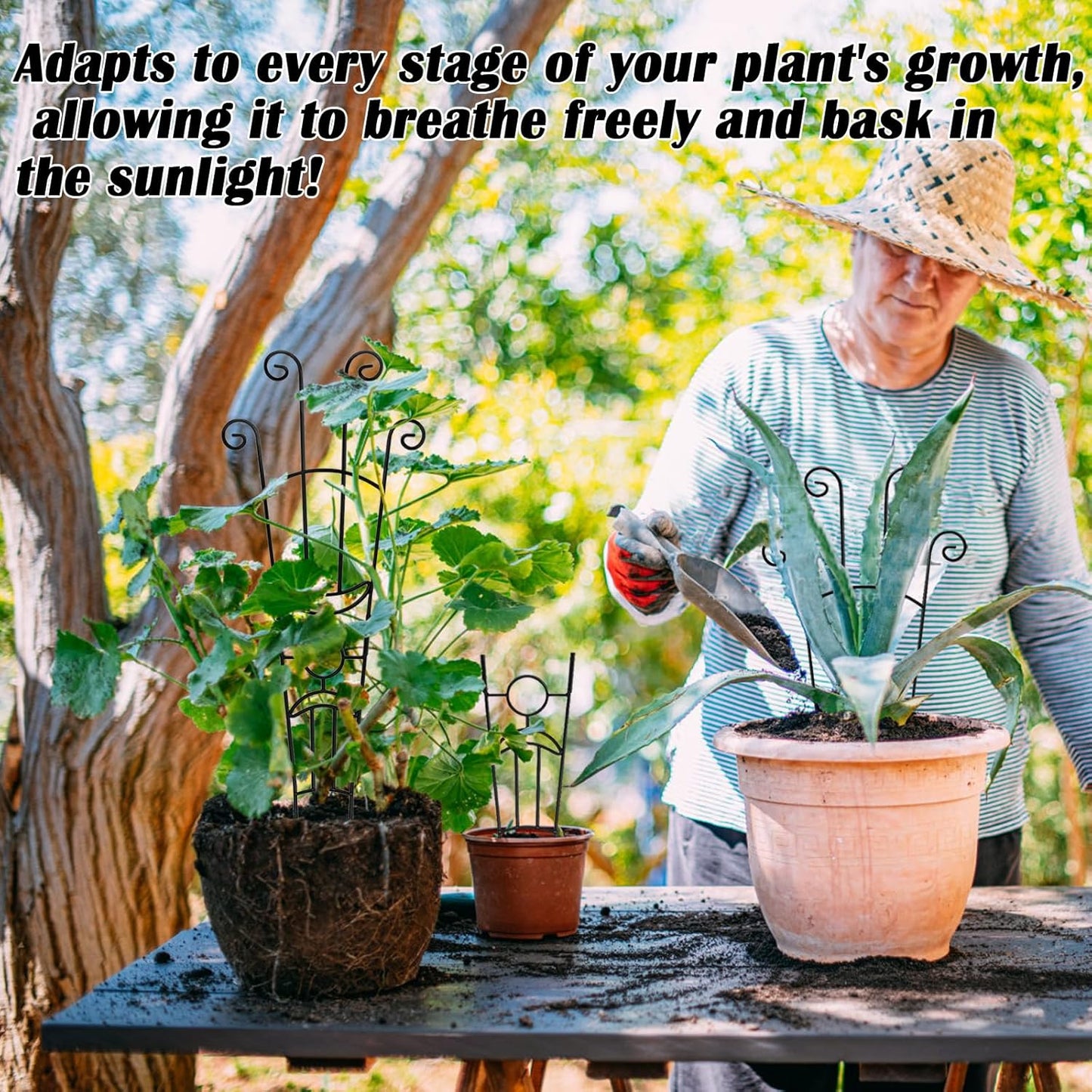 3P 32.6in Large Metal Trellis for Potted Plants -Plant Trellis Indoor for Climbing Plants -Monstera Plant Support -Expandable Trellis for Pothos Lvy Rose Hoya Flower