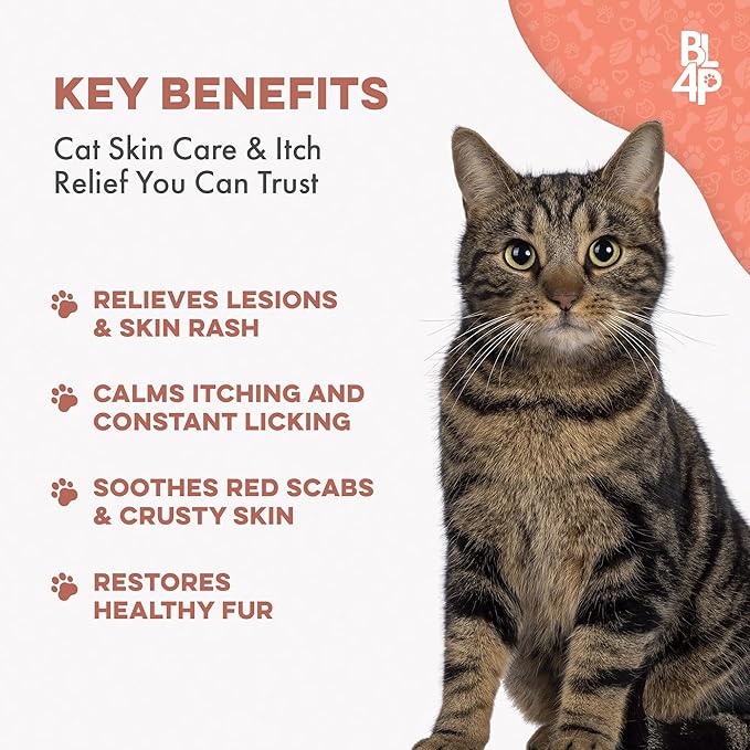 Mange Support for Cats, Natural Ear Mite & Cat Itchy Skin Relief, Relieves Welts, Scabs, Red and Flaky Skin, Shedding, Patchy Fur and Excessive Grooming, Total Cat Skin and Coat Care, 400 Tiny Pills