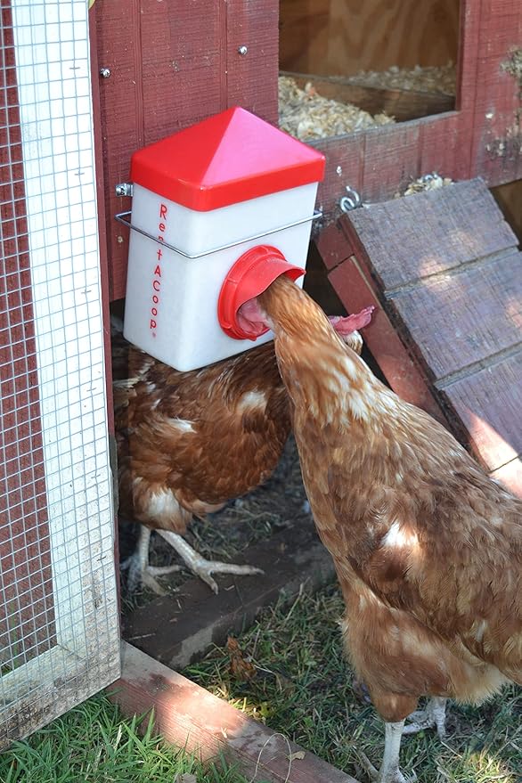 RentACoop Chick2Chicken 2.5lb BPA-Free Single-Port Feeder - Includes Anti-Roost Lid, Slider Port Cover, and Wire Bracket - Suitable for Quail, Pigeons, Doves, Chicks, and Adult Chickens