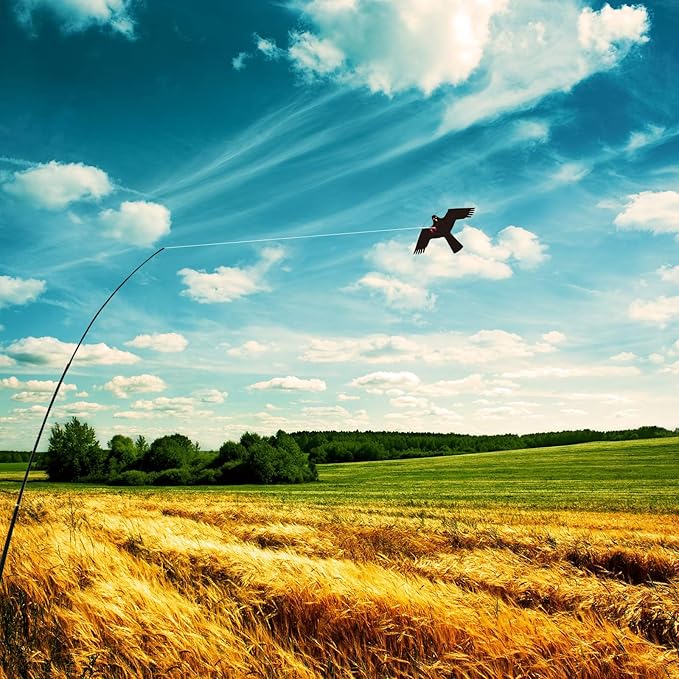 eyijklzo Bird Scarer Flying Kite Crops Farm Flying Bird Hawk Flying Kite