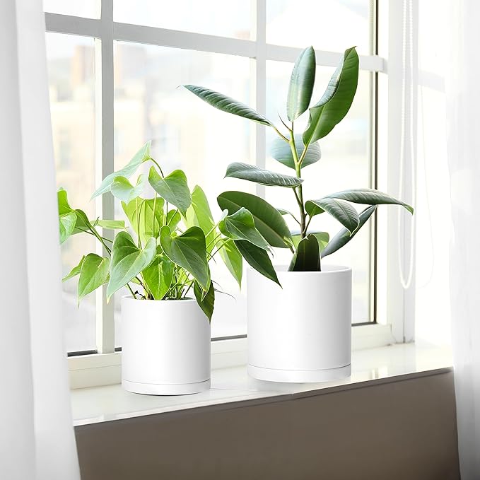 D'vine Dev 4.5 Inch 5.5 Inch 6.5 Inch, Set of 3 Plastic Planter Pots for Plants with Drainage Hole and Seamless Saucers, White Color, Small Plus, 74-V-A-2