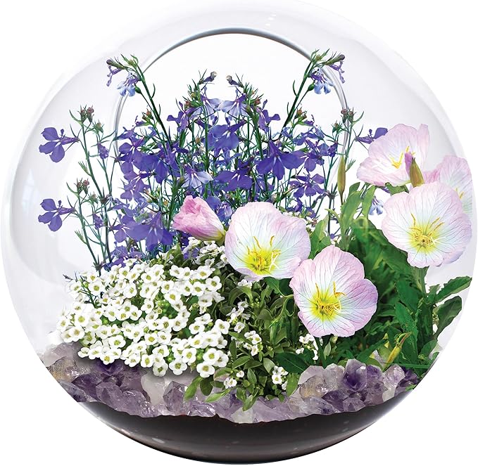 Enchant Your Space with Mini Fairy Triad Glass Terrarium Starter Kit by Unique Gardener! Grow Fragrant Flowers & Attract Fairy Plant, Complete Terrarium Supplies Included for a Mini Indoor Garden!