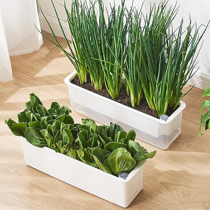 FAMZ Self Watering Pots - 3 Pack Transparent Rectangular Planting Pots for Indoor Plants - Suitable for Growing African Violets, Fruits, Vegetables, Flowers