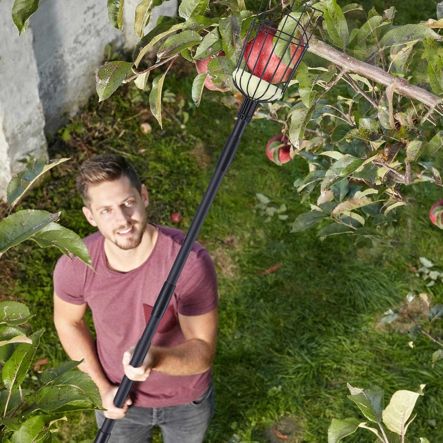 Fruit Picker Pole with Basket - 8.43FT(101Inch) Adjustable Fruit Picker with Basket, Orange Picker, Fruit Picking Pole for Orange Apple Avocados Lemon, Black