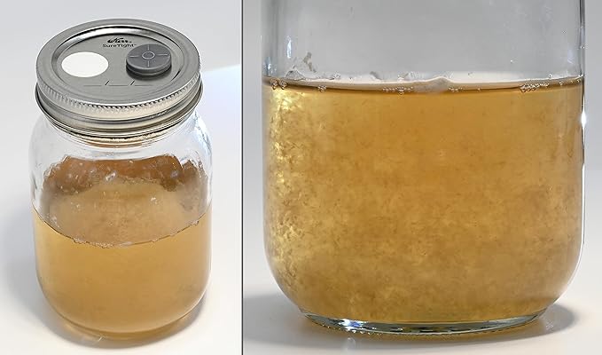 Mushroom Liquid Culture Kit – Spore Germinating & Mycelium Boosting Solution/New Launch (8oz OR 150ml)