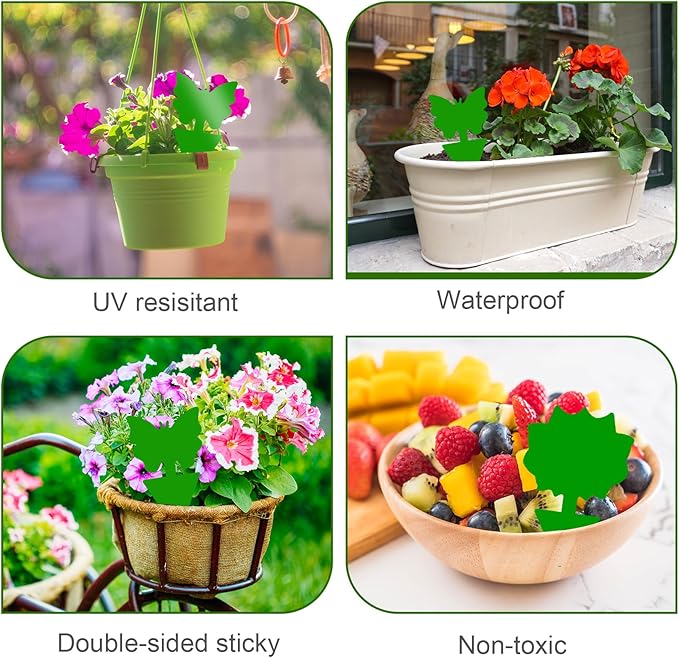 Fruit Fly Traps, 100 Pack Green Sticky Traps, Fungus Gnat Traps, Plant Fly Stickers for Indoor and Outdoor Use Protect The Plant
