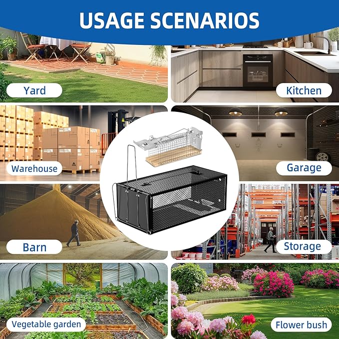 Humane Rat Traps - Large 12.5 Inches Upgraded Mouse Trap for Outdoors & Indoors - Reusable Rat Trap Cage for Mouse and Small Animals - Effective Quick Simple to Use (6-Pack)