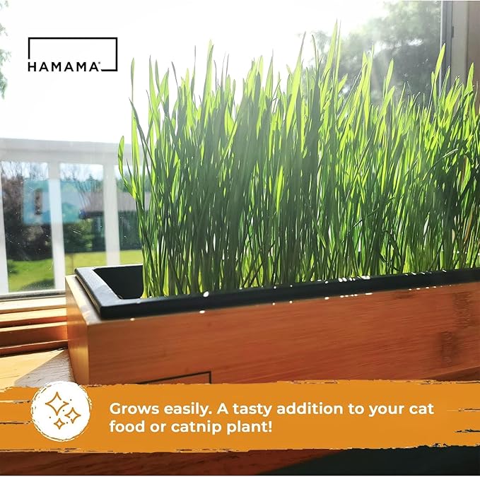 HAMAMA Microgreens Growing Kit Wheatgrass - Indoor Sprouts Mat - Seed Quilts Easy Setup Pack of 3 - Plastic Tray