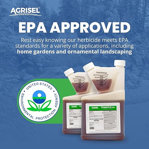 GrassOut Max Weed Killer, Targets 50+ Grassy Weeds Without Harming Desired Plants, Pet Safe, Large Area Treatment, Easy Application, 3-Pack of Disposable Gloves Included, 32 Ounces