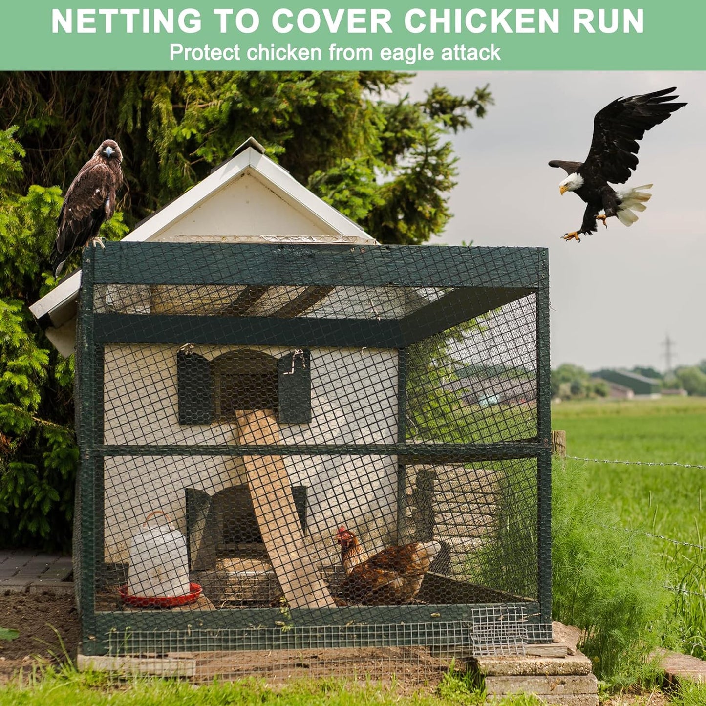 25'x25' Bird Netting for Chicken Coop, Nylon 3/4" Mesh Poultry Netting Chicken Net Roof Hawk, Aviary Net Deer Fence Pests Trellis Garden Nettings for Fruits Trees Plant