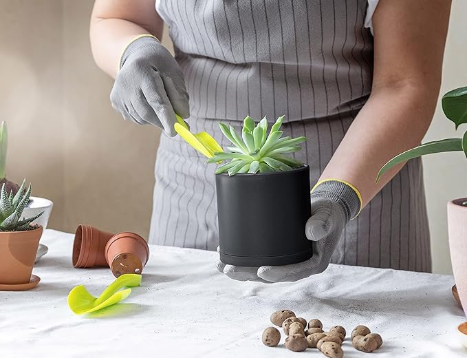 D'vine Dev 2 Pack 4 Inch Modern Plastic Plant Pots, Small Garden Planters for Plant with Drainage Holes and Saucers, Black Color, 74-Y-E-1