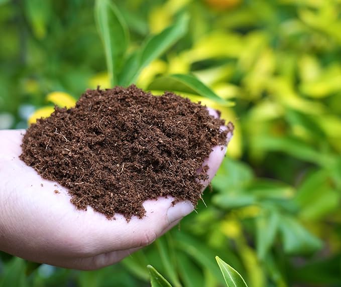 Happy Trees Coco Coir Loose Coconut Fiber Growing Medium, Potting Mix, Seed-Starting, Premium Quality, Triple-Washed for Low Salt/EC, pH Balanced, Peat-Free, Organic, 9 Quarts (10L)