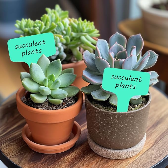 Plant Labels 200 Pcs Yuanling T-Type Plastic Garden Tags Waterproof Plant Sign Stakes Nursery Garden Makers for Seedlings Flower Vegetables Herb Potted Belt Permanet Marker Pen (Teal)