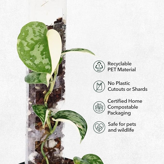 V3 Medium GrowPole - Front Opening, Stackable Plastic Moss Poles for Climbing Plants, Monstera Plant Support-Plant Climbing Pole, DIY Plant Support, Works for Philodendron & Anthuriums - 5 Pcs