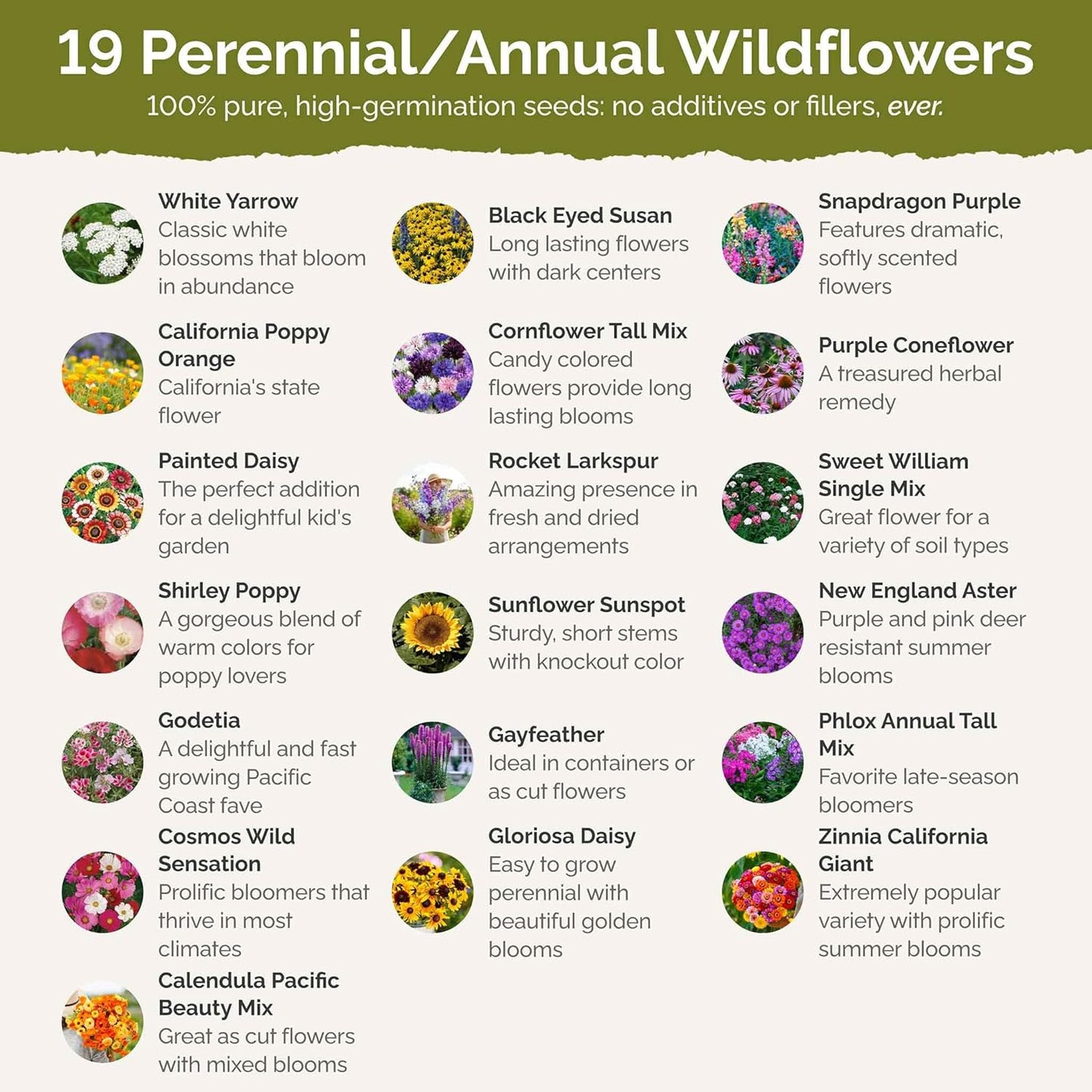 Eden Brothers Late Bloomer Wildflower Mixed Seeds for Planting, 1/4 lb, 120,000+ Seeds with White Yarrow, Snapdragon | Attracts Pollinators, Plant in Spring or Fall, Zones 3, 4, 5, 6, 7, 8, 9, 10