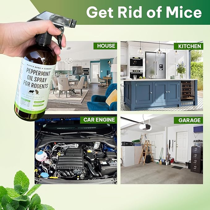 Kate Naturals Peppermint Oil Spray for Rodents, Squirrels, Mouse, Bat, Rat, Car Engines (16oz, Non-Toxic, Pet Safe)