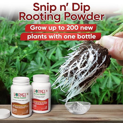 Hormex Rooting Powder #8, 16 (0.80-1.6 IBA) - Rooting Propagation Hormone for Semi-Hardwood to Hardwood Plants, Medicinal & Tree Cuttings - Root Stimulator for Plant Cloning - Maximum Growth Success