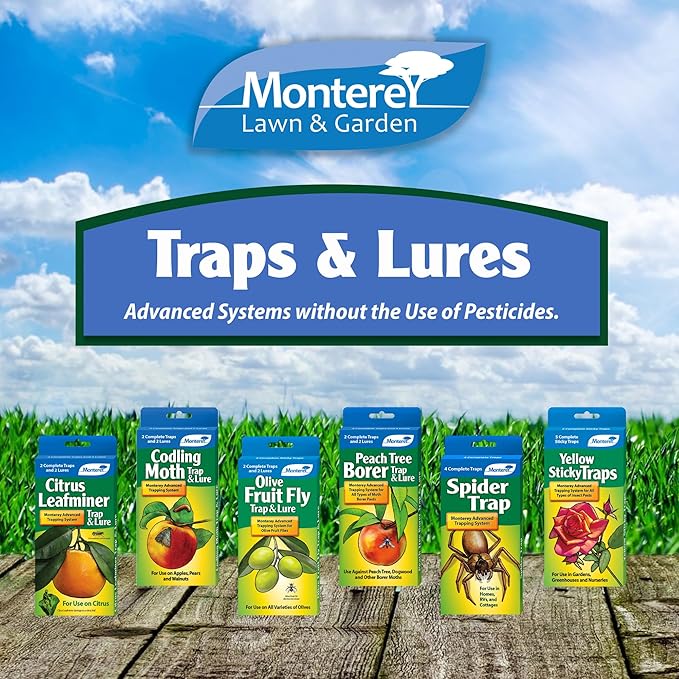 Monterey Codling Moth Trap & Lure - 2 Traps/2 Lures