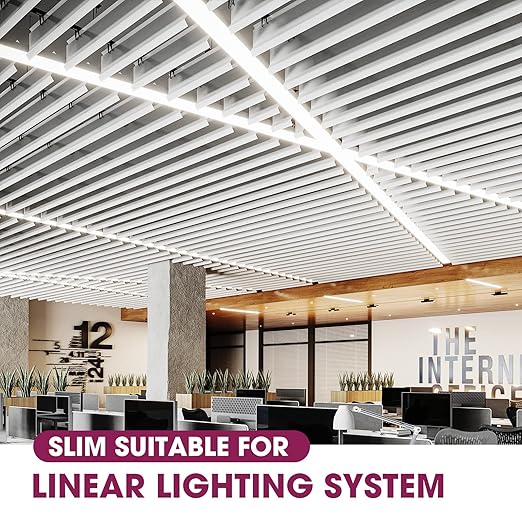 EMITEVER Slim 30W Triac Dimmable LED Driver,Power Supply 100-277V AC to 24V DC, 0-100% Dimming Transformer for LED Lights,Compatible with Lutron and Leviton Dimmers,Class 2,UL Listed