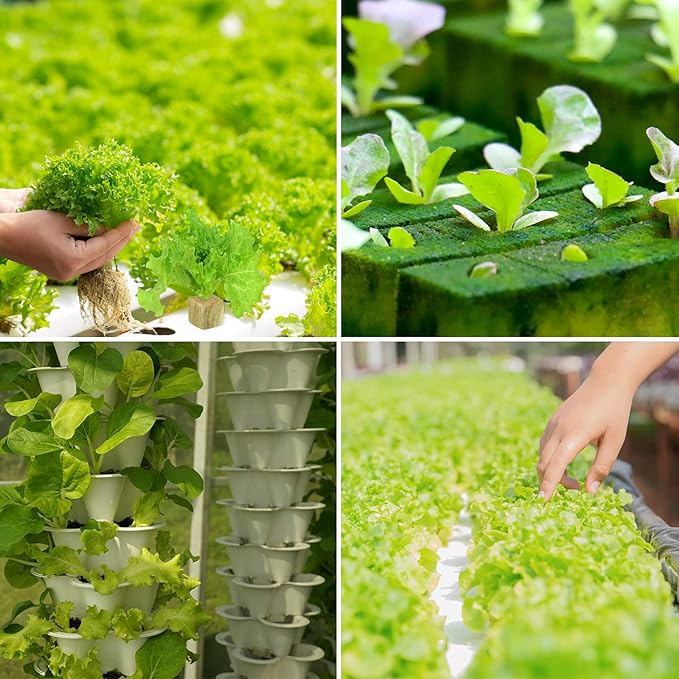 Legigo 1 Inch Rockwool Cubes Seed Starter Plugs for Hydroponics, RockWool Planting Grow Cubes for Hydroponic Tower Garden Soilless Cultivation Plants Germination Cutting Clone (6 Sheet, 300 Plugs)