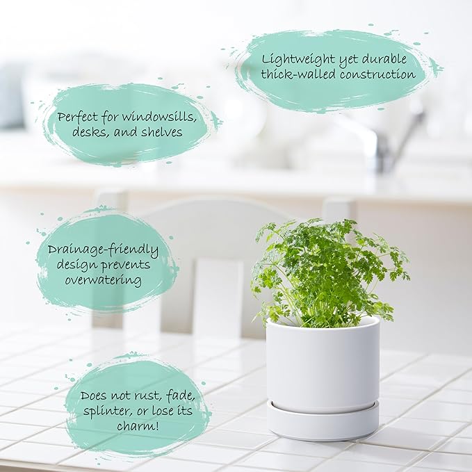 Phoenix Vine 4 Inch Planter Pot with Drainage Hole & Saucer, Deep Water Catch Tray, Straight Cylindrical Round Pot for Plants, Matte White, Pack of 3, 23-B-R-3