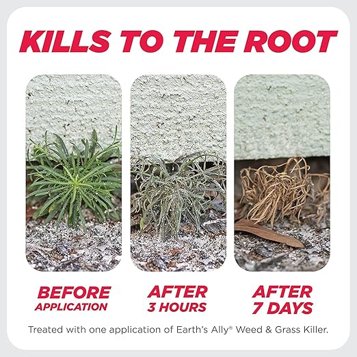 Earth's Ally Weed and Grass Killer Spray | Ready-to-Use | Natural Non-Selective Herbicide | Environmentally Safe Weed Killer | Pet Safe | Bee Safe (32 fl. oz. Ready-to-Use)