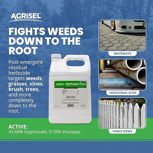 GlyPhoSel Plus Weed Killer, Post Emergent, Long-Lasting Action, Eliminates Tough Weeds from Leaf to Root, For Non-Crop Areas, Pet Safe, Includes 3-pack of Agrisel Protective Gloves, 128 Ounces