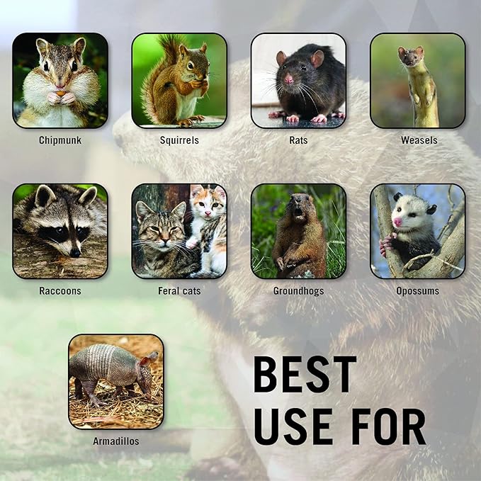 HOMESTEAD 32 Inch Live Animal Trap - Specialized for Raccoons, Opossums, Groundhogs, Skunks, Feral Cats, Squirrels - Humane Way Catch & Release Animal Trap