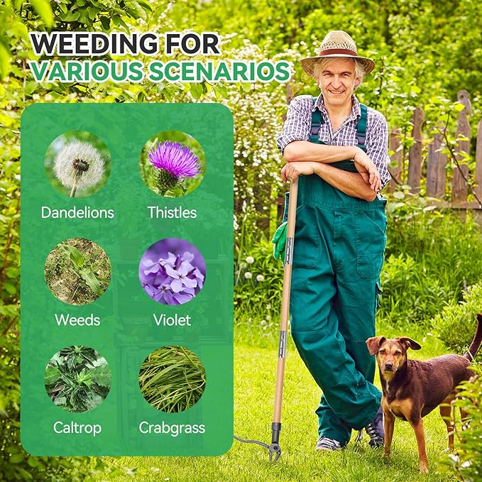 Weed Puller Stand-Up Weed Puller Tool with Long Handle & 4-Claw Steel Head Manual Weed Remover Tool for Lawn and Garden (Bamboo)