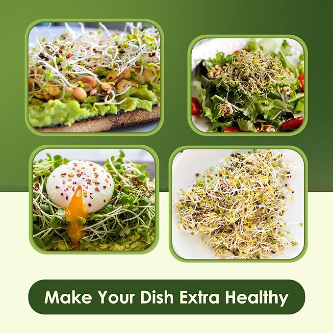 Nature Jims Sprouts Organic Broccoli Seeds for Sprouting – Certified Non-GMO, Rich in Sulforaphane, Swift-Growing Microgreen Seeds for Nutritious Broccoli Sprouts – Ideal for Indoor/Outdoor Use – 8oz