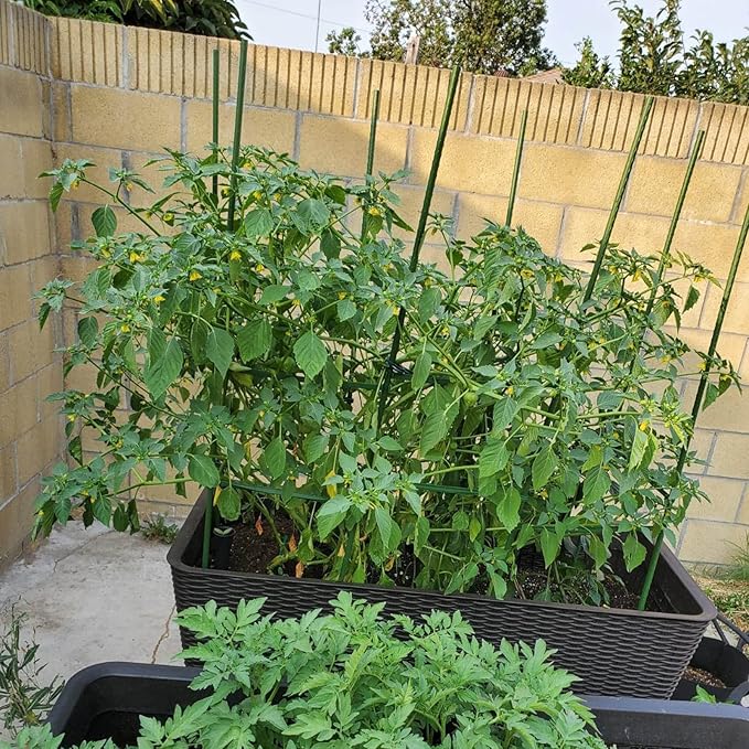 Garmeinea Garden Stakes 36 Inches Plastic Coated Steel Plant Stakes for Growing Climbing Plants, Pack of 25