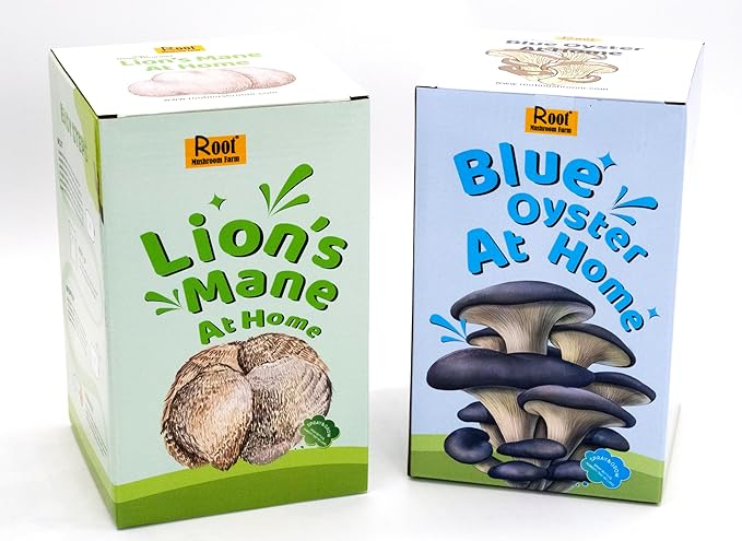 Two Mushroom Grow Kits, 3Lb Each (Lion's Mane & Blue Oyster)
