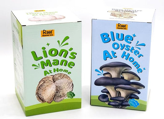 Two Mushroom Grow Kits, 3Lb Each (Lion's Mane & Blue Oyster)