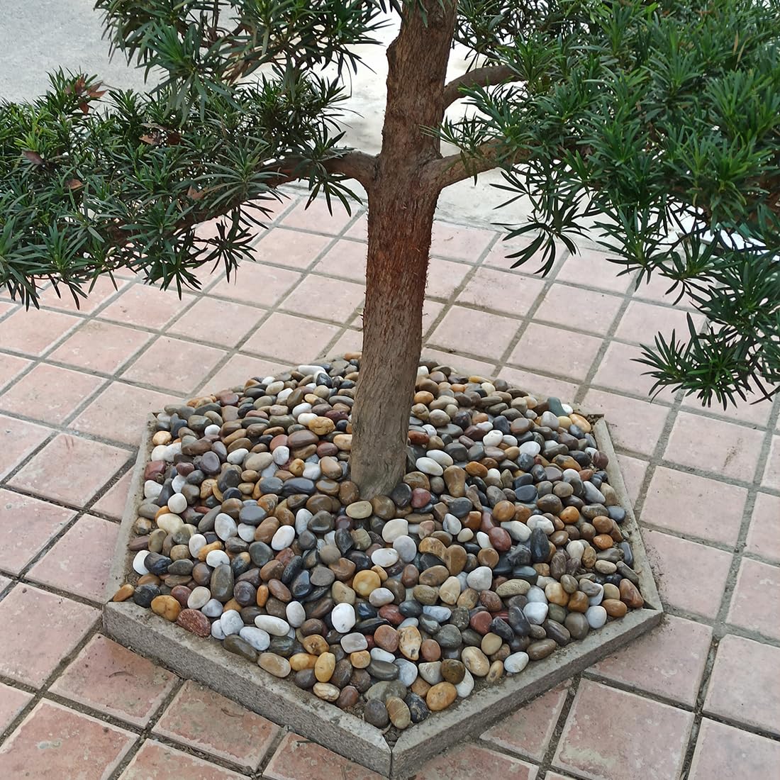 40lbs Large River Rocks for Landscaping, 3-4" Decorative Pebbles for Garden Design, Hand-Picked Smooth Stones for Fish Tank, Flower Pots, Indoor Water Fountains, Pathways, Backyard, Mixed Color