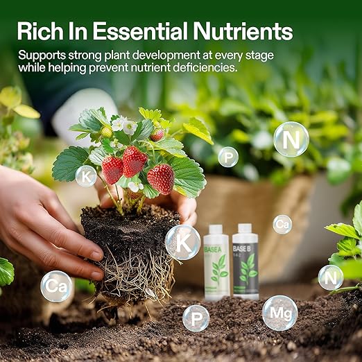 VIVOSUN Liquid Nutrients Base A & B Bundle, Grow Big Hydroponic Fertilizer, Supports Vegetative and Flowering Stages for Outdoor, Indoor Plants, Best Plant Food, Set of 8oz