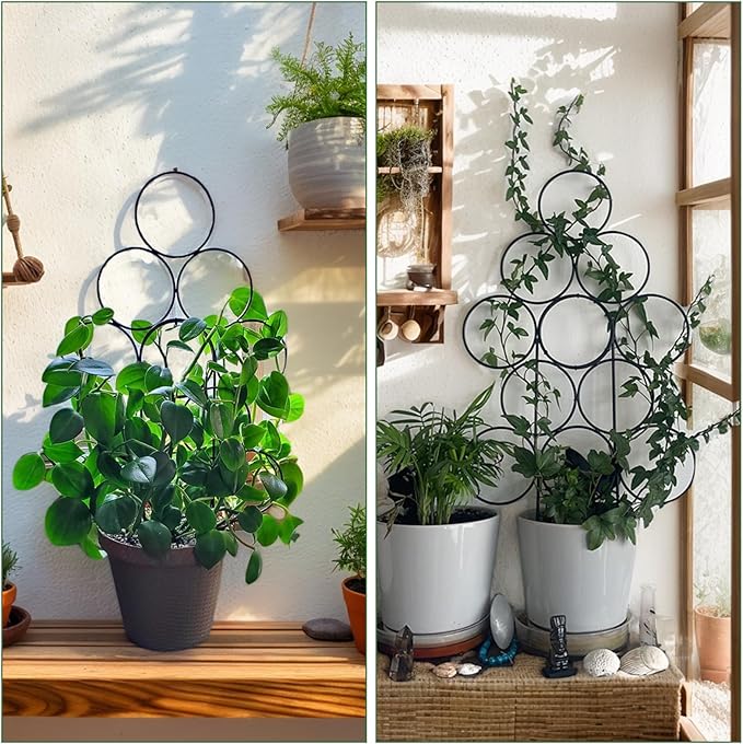 Stackable Metal Trellis for Potted Plants, 8 Packs 15.7 Inch Small Garden Trellis for Climbing Plants Indoor, Pothos Plant Climber Support Indoor Plant Support Stakes, Black