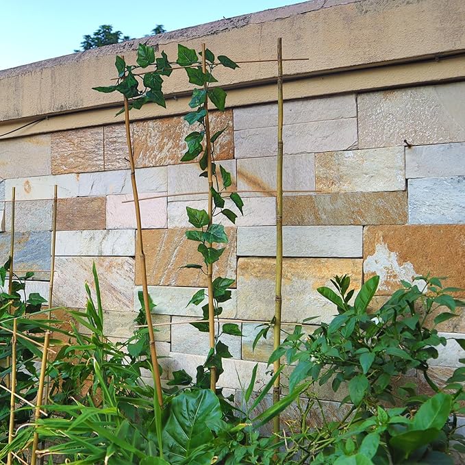 10 Pack 3ft Bamboo Trellis for Climbing Plants-Natural Garden Ladder Trellis, Fan -Shaped Support Trellis for Potted Plant Decor in Door