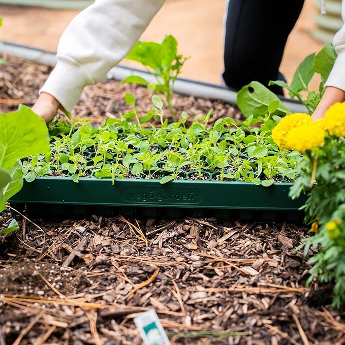 Vego garden 10" x 20" 76 Cells Seed Starter Tray Stackable Seedling Starting Germination Trays for Plants Planting Vegetables Herbs Flowers
