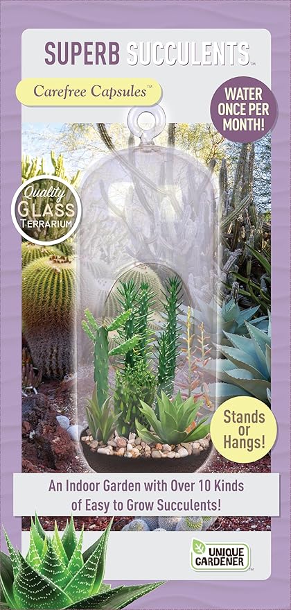 Create Your Stunning Succulent Oasis with Our Superb Succulent Terrarium Grow Starter Kit - Over 10 Varieties for Easy Indoor Gardening with Complete Supplies, Easy Growing Terrariums for Beginners
