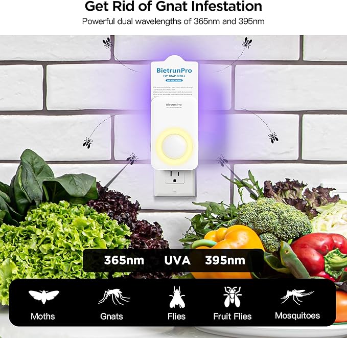 Fly Traps Indoors(2 Device+10 Refills), Gnat Traps for House Indoor with Night Light, 3-in-1 UV/Blue/Yellow Light Plug-in Flying Insect Traps, Fruit Fly Killer, NAT Killer, Get Rid of Gnat Infestation