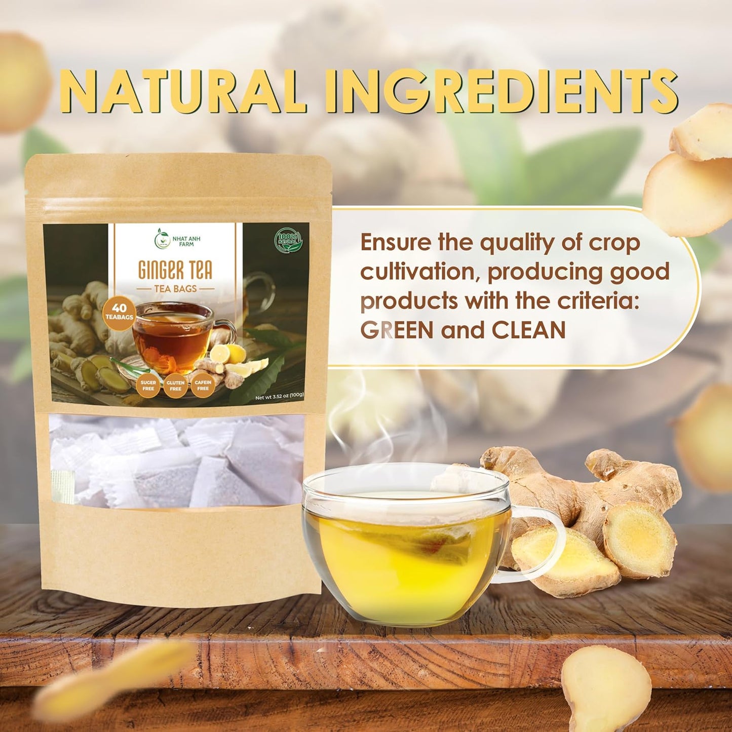 NHAT ANH FARM - Premium Ginger Tea Bags -Dried Ginger Root Tea Bags - 40 Teabags, 2.5g/bag. 100% Natural & Pure, Caffeine Free. Good for your health.