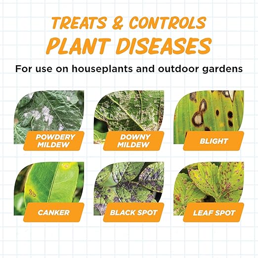 Earth's Ally Disease Control Concentrate for Plants Concentrate 32 oz | Fungicide Treatment for Powdery Mildew, Blight, Black Spot, Fungus - Use on Plant & Rose Diseases & More